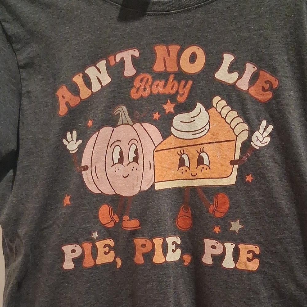 Port and Company Gray Thanksgiving 'Ain't No Lie Baby Pie, Pie, Pie' Graphic Tee - Picture 2 of 4